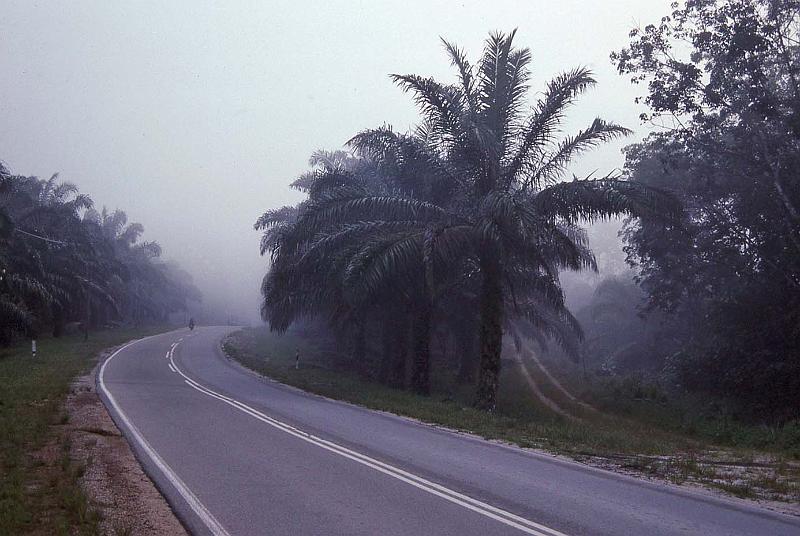 WT 0700 108-35 Malaysia.jpg
